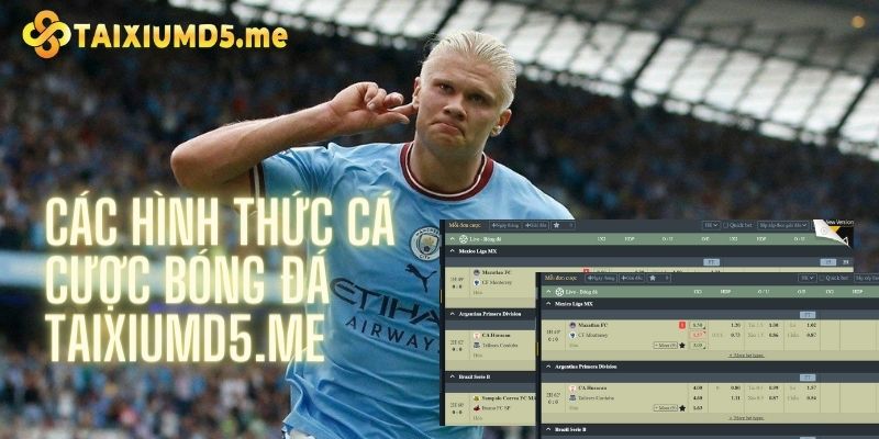 Các hình thức cá cược, soi cầu bóng đá chủ yếu tại nhà cái