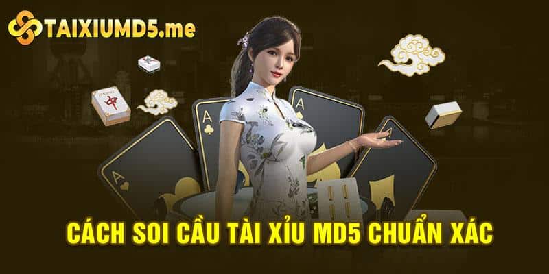 Cách soi cầu tài xỉu md5 chuẩn xác